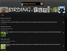 Tablet Screenshot of birdingisfun.com